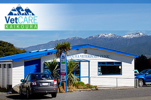 VetCARE Kaikoura